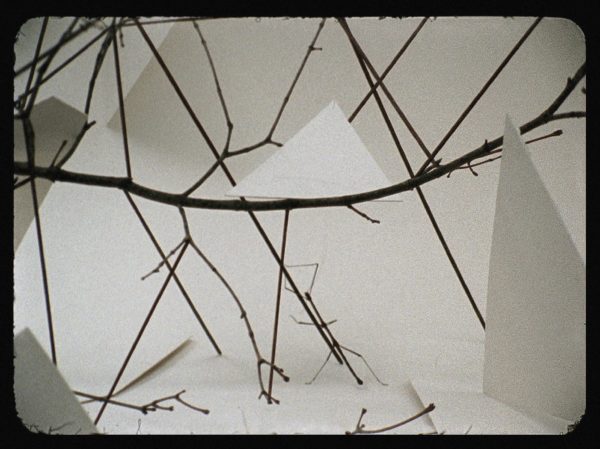 Daniel_Steegmann_Phasmides_01-600x449