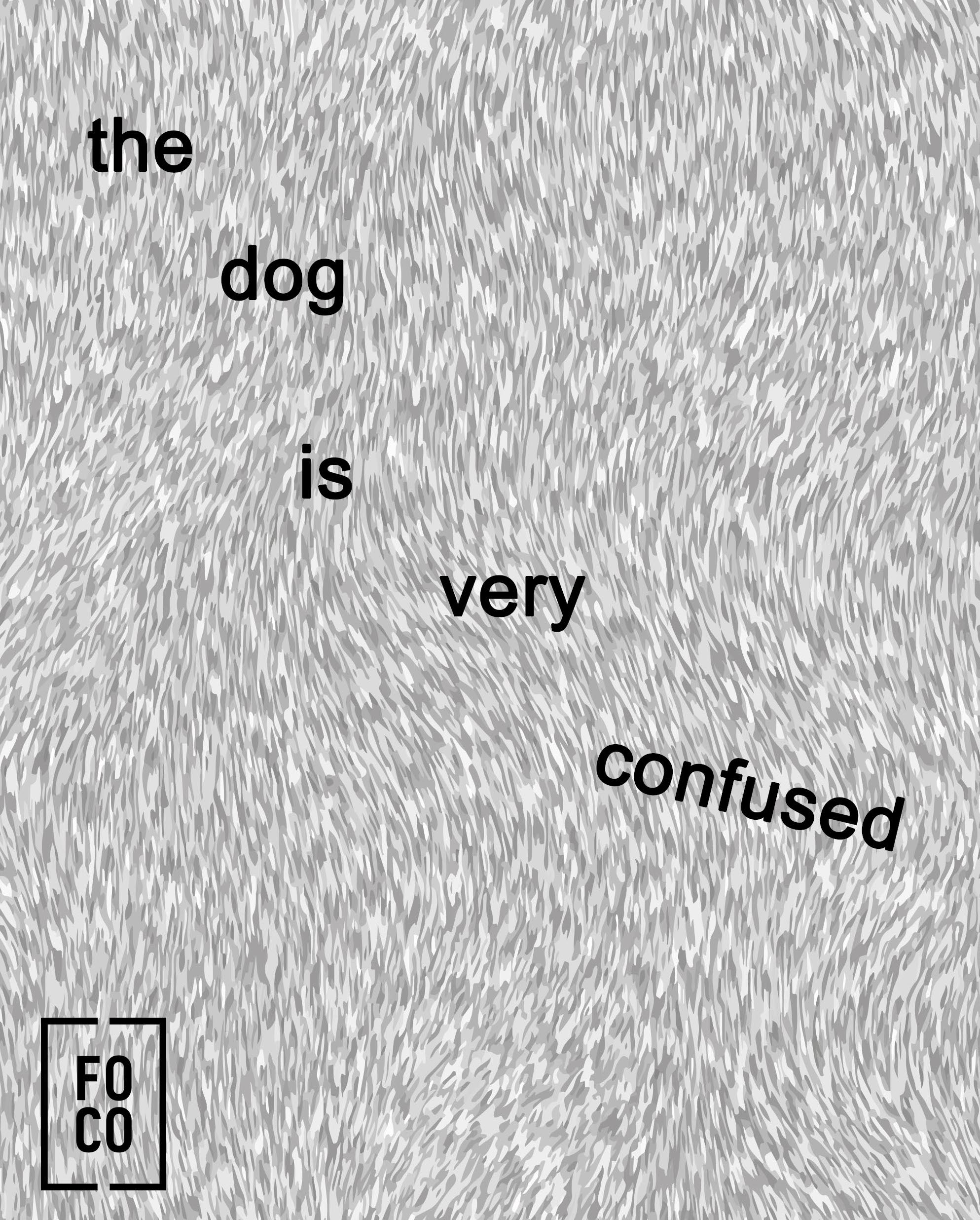 Cartaz The dog is very confused _11-27.01.jpg