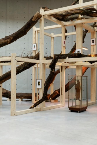 92143-Danh Vo, Tropeaolum, 2023