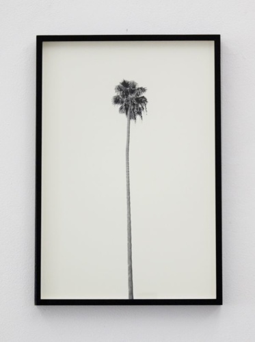 9. Adrien Missika — A Dying Generation, 2011 4