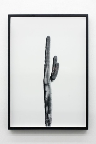 10. Adrien Missika — We Didn't Cross the Border, The Border Crossed Us, 2014 8