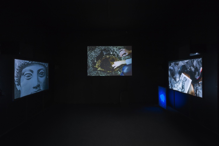 #DinisSantosCMP_PCSArtPrize_AnimalVegetalMineral1