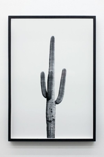 10. Adrien Missika — We Didn't Cross the Border, The Border Crossed Us, 2014 16