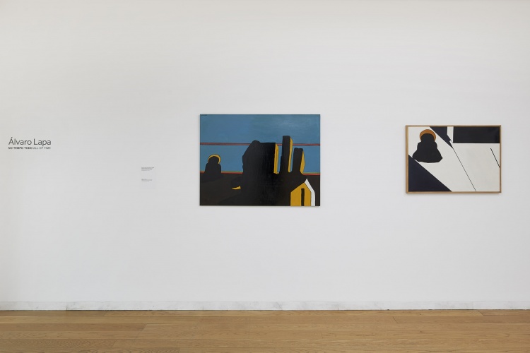 Serralves 2018 Álvaro Lapa fotografia de Filipe Braga © Serralves (87)