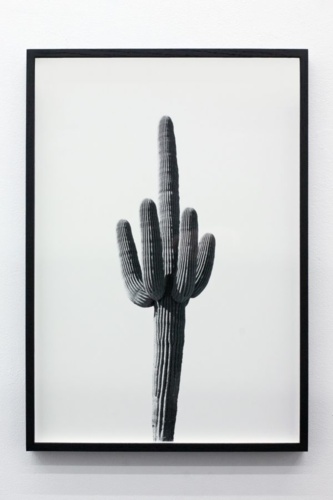 10. Adrien Missika — We Didn't Cross the Border, The Border Crossed Us, 2014 15