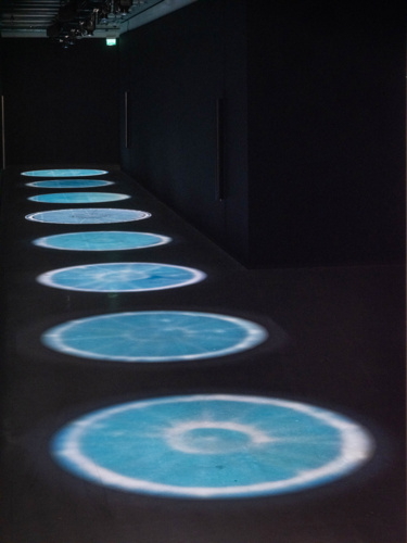 Salmon Traces of Escapees, Undamming Rivers, Cooking Sections, Bonniers Kunsthall, Stockholm, 2022.Photo Jean Baptiste Beranger