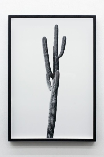 10. Adrien Missika — We Didn't Cross the Border, The Border Crossed Us, 2014 14