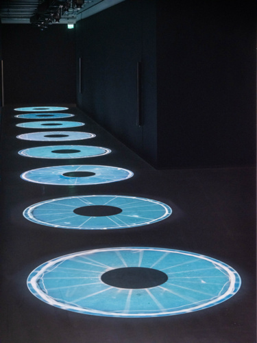 Salmon Traces of Escapees, Undamming Rivers, Cooking Sections, Bonniers Kunsthall, Stockholm, 2022.Photo Jean Baptiste Beranger(24)