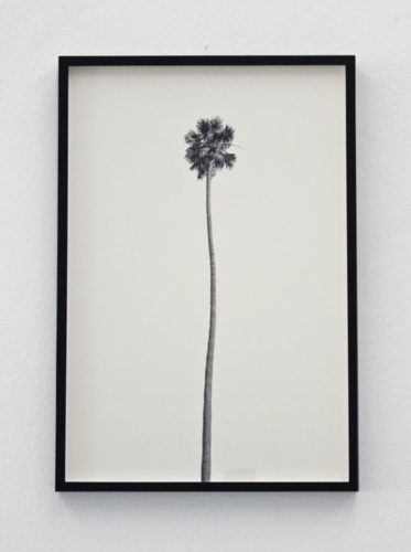 9. Adrien Missika — A Dying Generation, 2011 6