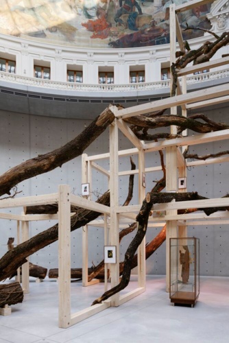 92632-Danh Vo, Tropeaolum, 2023