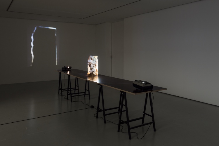 Rui Toscano-20