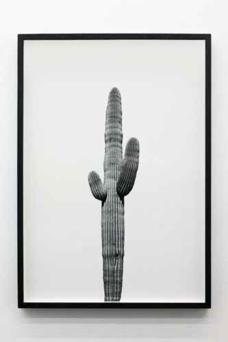 10. Adrien Missika — We Didn't Cross the Border, The Border Crossed Us, 2014 11