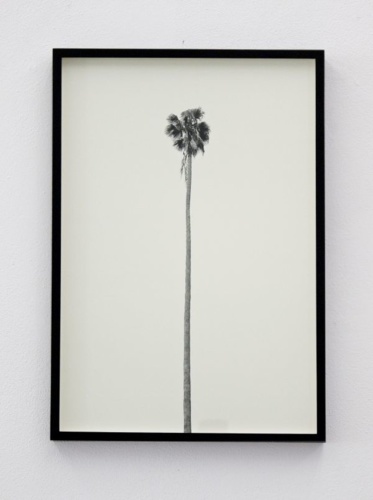 9. Adrien Missika — A Dying Generation, 2011 8