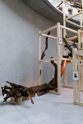 92629-Danh Vo, Tropeaolum, 2023