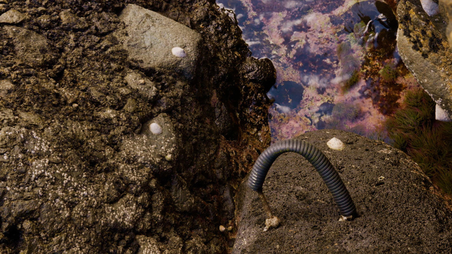 DianaPolicarpo_Expedition_Savage_islands_4