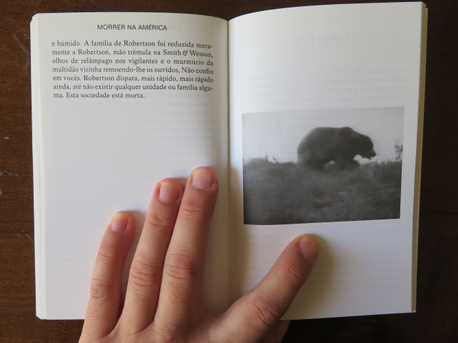 Pedro Neves Marques 3