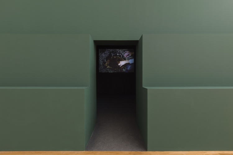 #DinisSantosCMP_PCSArtPrize_AnimalVegetalMineral2