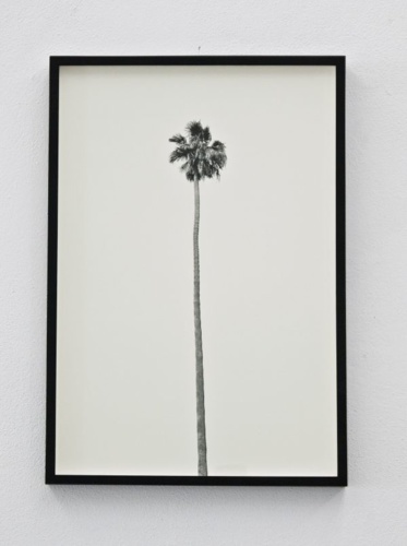 9. Adrien Missika — A Dying Generation, 2011 2