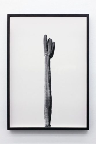 10. Adrien Missika — We Didn't Cross the Border, The Border Crossed Us, 2014 7