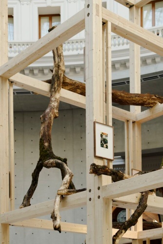 92200-Danh Vo, Tropeaolum, 2023