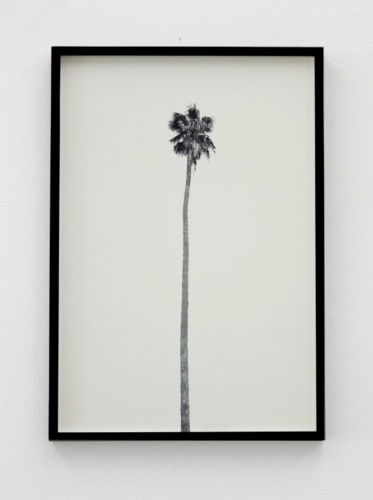9. Adrien Missika — A Dying Generation, 2011 3