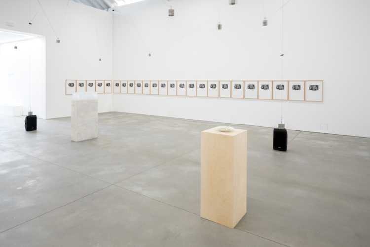 Nuno Ramos - Opening 17