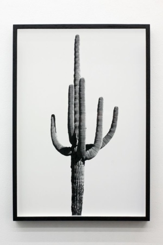 10. Adrien Missika — We Didn't Cross the Border, The Border Crossed Us, 2014 10