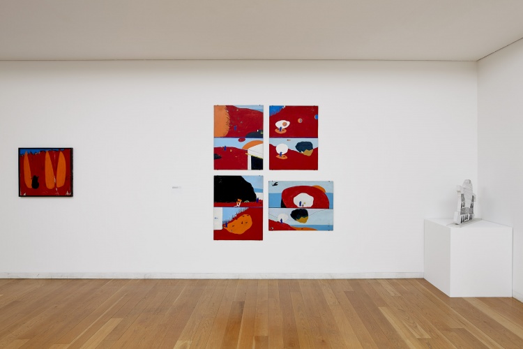 Serralves 2018 Álvaro Lapa fotografia de Filipe Braga © Serralves (83)