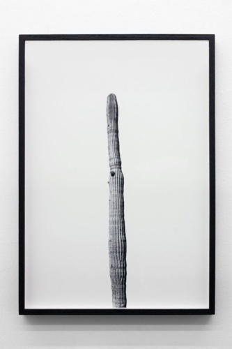 10. Adrien Missika — We Didn't Cross the Border, The Border Crossed Us, 2014 2
