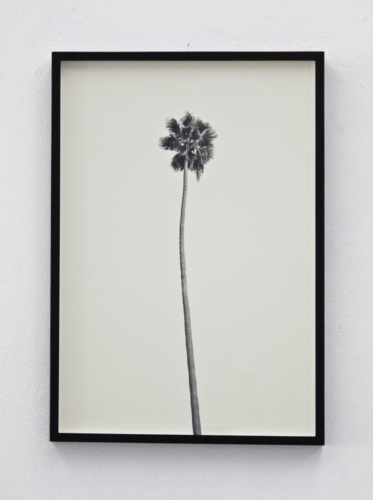 9. Adrien Missika — A Dying Generation, 2011 1