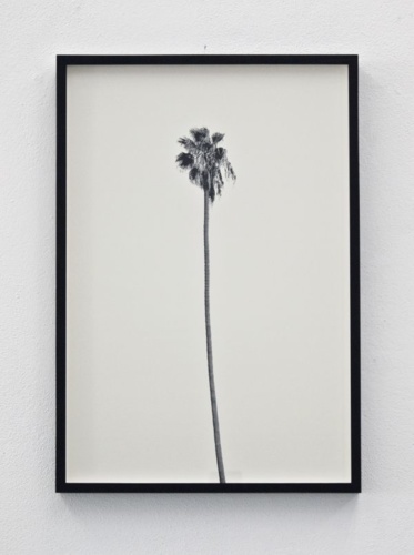 9. Adrien Missika — A Dying Generation, 2011 7