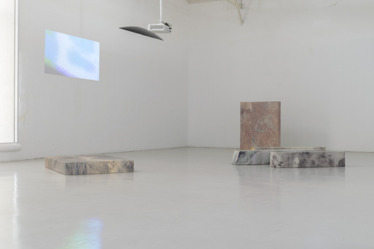 cut-down-the-middle-galerias-municipais-11