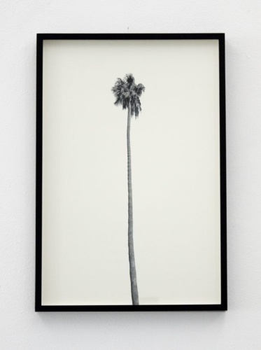 9. Adrien Missika — A Dying Generation, 2011 5