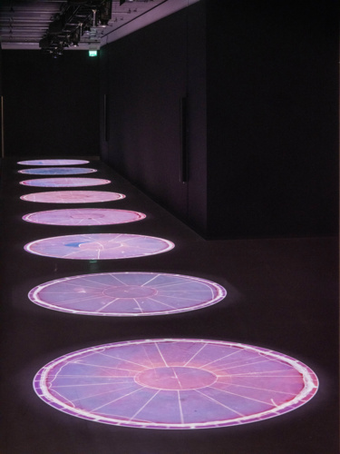 Salmon Traces of Escapees, Undamming Rivers, Cooking Sections, Bonniers Kunsthall, Stockholm, 2022.Photo Jean Baptiste Beranger(28)
