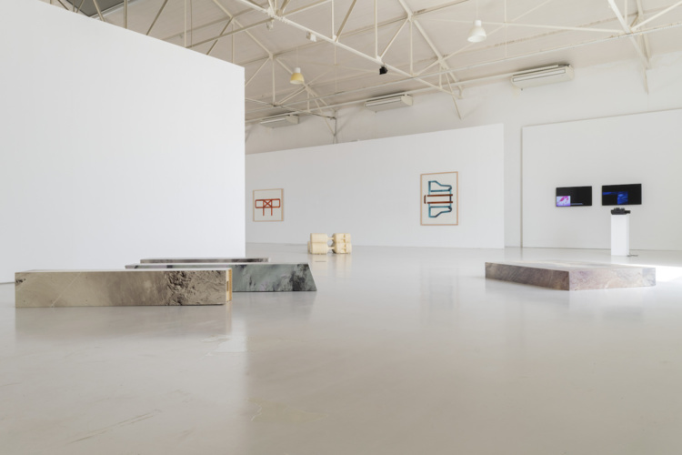cut-down-the-middle-galerias-municipais-10
