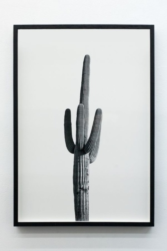 10. Adrien Missika — We Didn't Cross the Border, The Border Crossed Us, 2014 9