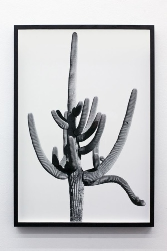 10. Adrien Missika — We Didn't Cross the Border, The Border Crossed Us, 2014 12