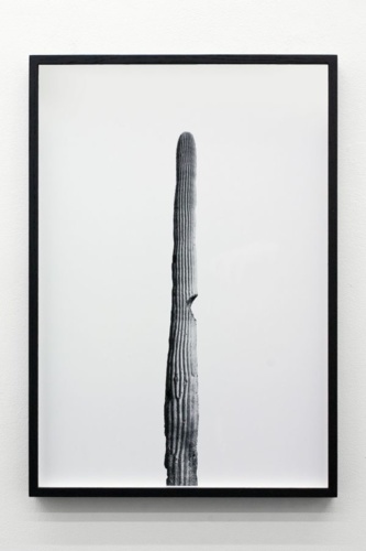 10. Adrien Missika — We Didn't Cross the Border, The Border Crossed Us, 2014 6