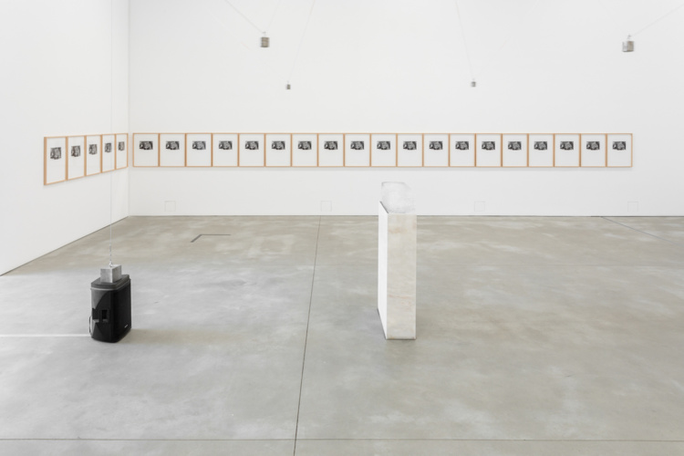 Nuno Ramos - Opening 8