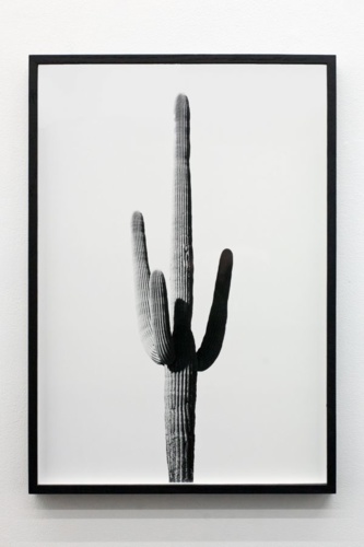 10. Adrien Missika — We Didn't Cross the Border, The Border Crossed Us, 2014 1