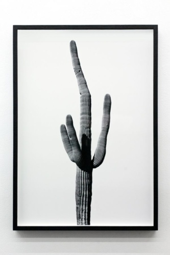 10. Adrien Missika — We Didn't Cross the Border, The Border Crossed Us, 2014 3