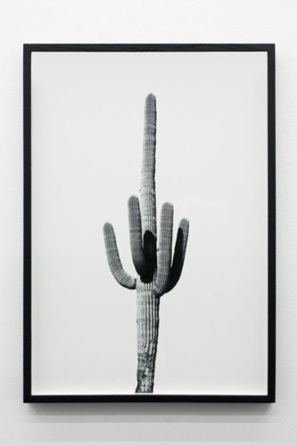 10. Adrien Missika — We Didn't Cross the Border, The Border Crossed Us, 2014 4