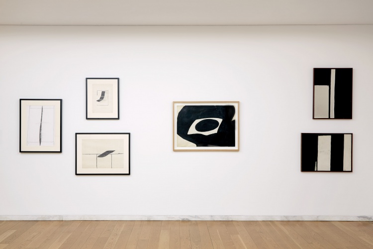 Serralves 2018 Álvaro Lapa fotografia de Filipe Braga © Serralves (80)