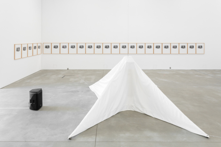 Nuno Ramos - Opening 6