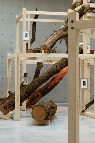 92179-Danh Vo, Tropeaolum, 2023