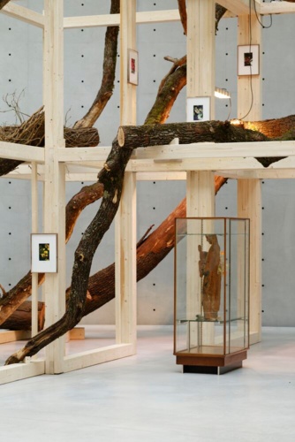 92191-Danh Vo, Tropeaolum, 2023