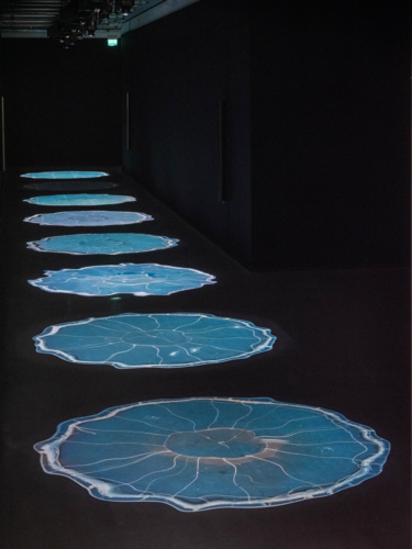 Salmon Traces of Escapees, Undamming Rivers, Cooking Sections, Bonniers Kunsthall, Stockholm, 2022.Photo Jean Baptiste Beranger(2)
