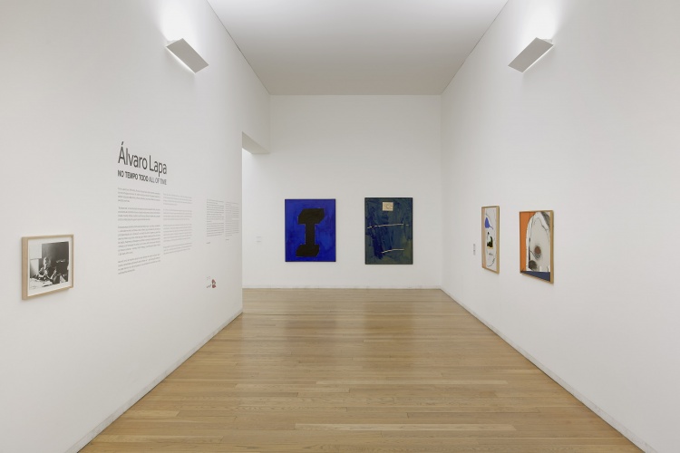 Serralves 2018 Álvaro Lapa fotografia de Filipe Braga © Serralves (11)