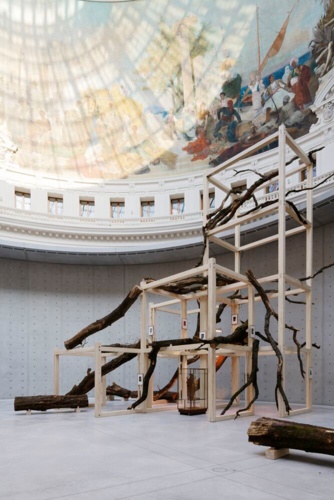 92623-Danh Vo, Tropeaolum, 2023