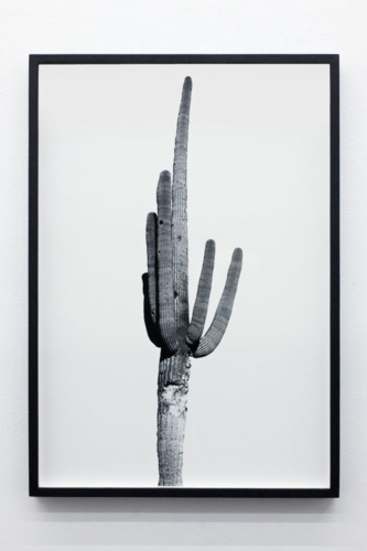 10. Adrien Missika — We Didn't Cross the Border, The Border Crossed Us, 2014 13